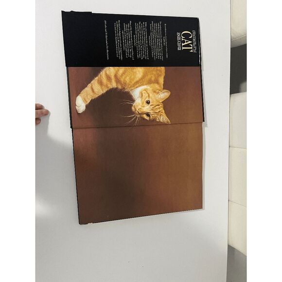 Encyclopedia of the Cat by Angela Sayer Hardcover in Good Condition Great Coffee - Picture 7 of 10
